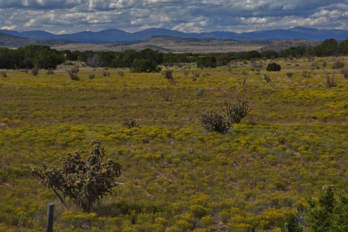 Bonanza Creek Road